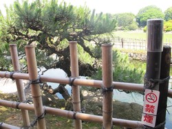 Jepang Disebut Neraka Para Perokok, Mengapa?