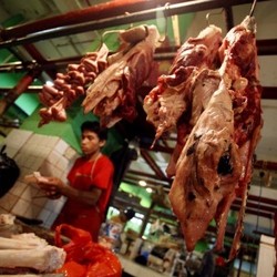 Curhat Pedagang: Dulu Harga Daging Sapi Cuma Rp 75.000/Kg