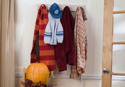 Kebiasaan Menggantung Baju Bekas Pakai Bisa Undang Nyamuk Penyebab DBD