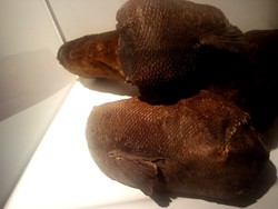 Yang Unik di Jepang, Sepatu dari Kulit Ikan Salmon