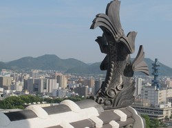 Kisah Ikan Berkepala Harimau dari Jepang