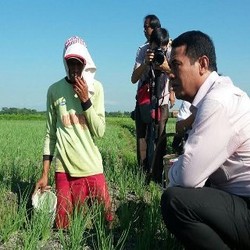 Mentan Heran Bawang Merah di Jakarta Dijual Rp 30.000/Kg