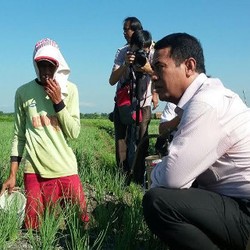 Mentan Nongkrong Bareng Petani di Kebun Bawang