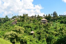 Akhir Pekan, Asyiknya Trekking di Bukit Campuhan Bali!