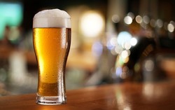 Atrapaneblina, Bir yang Terbuat dari Air Kabut di Gurun Pasir Chili