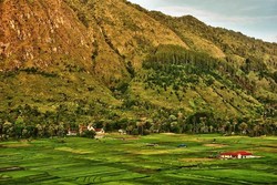 Siapa Sangka, Pulau Samosir Punya Bukit Seindah Ini