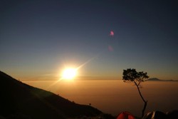 Membisu di Gunung Merbabu