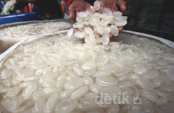 Mau Beli Kolang Kaling? Perhatikan Hal Ini Saat Memilihnya