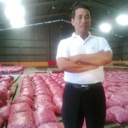 Blusukan, Mentan Amran Pamer Bawang Merah di Gudang Bulog