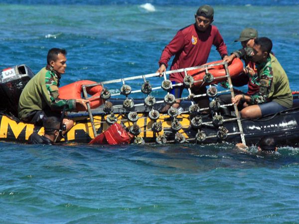 Marinir Tanam Terumbu Karang di Pantai Situbondo