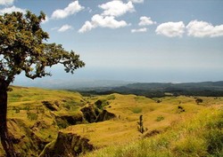 Hai Anak Muda, Ini Tips Penting Berfoto di Tempat Wisata
