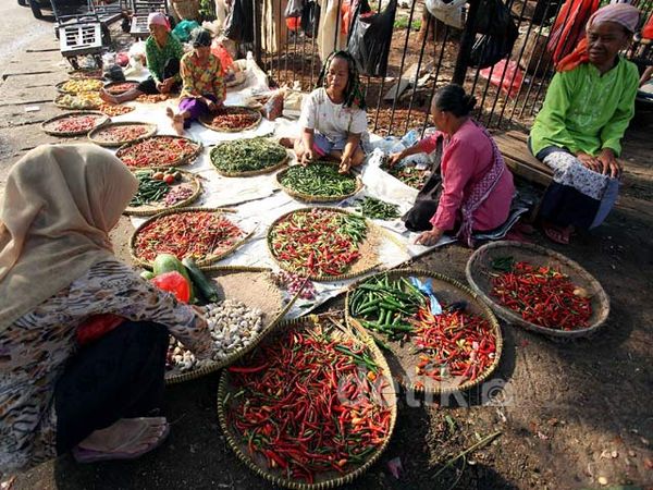 Jelang Ramadan Harga Cabai Kian Pedas