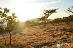 Anak Muda, Taklukan Jalur Trekking di 5 Taman Nasional Ini