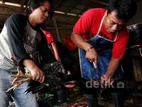 Jelang Ramadan, Harga Ayam Merangkak Naik