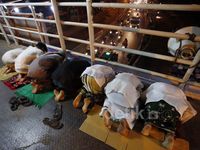 Salat Tarawih di JPO dan Pinggir Jalan