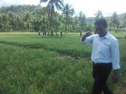 Panen Bawang Merah 105 Hektar, Petani Minta Harga di Atas Rp 7.000/Kg