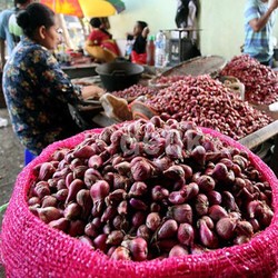 Pantauan Mendag Gobel: Harga Bawang Turun, Cabai Merah Keriting Naik