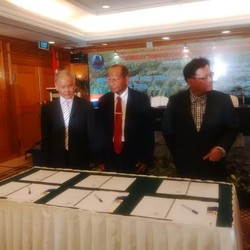 Pabrik Tepung Singkong Rp 52 M di Bangka Dibangun Investor China