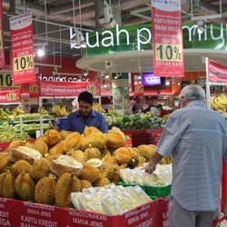 Durian Impor Menggemaskan dengan Harga Miring