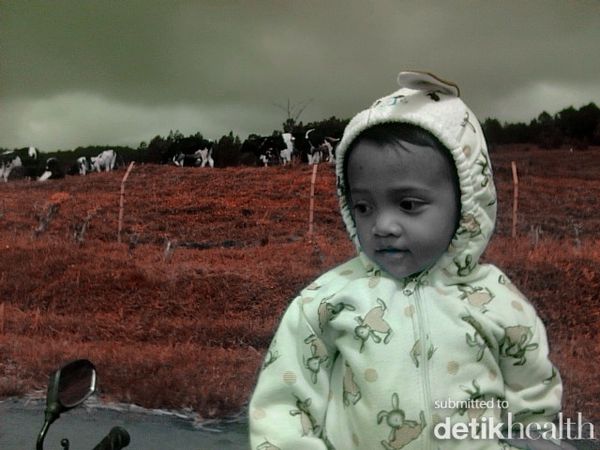 Muhammad Faris Adib Agil