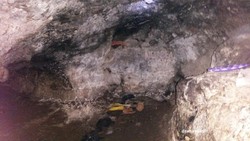 Menelusuri Legenda Gua Kreo di Semarang