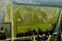 Crop Circle Unik di Amsterdam yang Bisa Meredam Suara Pesawat