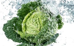 Tambahkan Sayuran Kaya Air Ini Dalam Hidangan Puasa Agar Tubuh Tetap Terhidrasi (2)