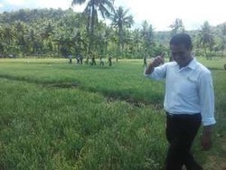 Hari Krida Pertanian, Mentan: RI Harus Swasembada Beras dalam 3 Tahun