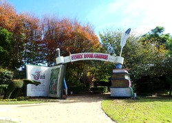 Jack & Jill Sampai Alice Kumpul di Taman Hunter Valley