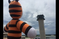 Cerita Inspiratif dari Boneka Harimau yang tertinggal di Bandara AS