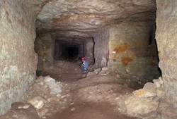 Ditemukan, Makam Berisi Jutaan Mumi Anjing di Mesir