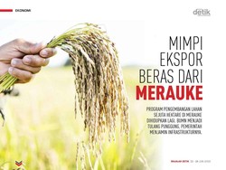 Mimpi Ekspor Beras dari Merauke