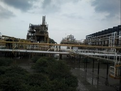 Diprotes Pemda Kaltim, ESDM: 10% Saham Blok Mahakam Itu Hadiah