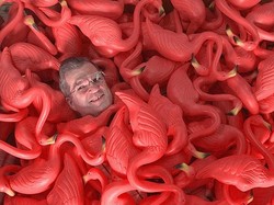 Seniman Pembuat Pink Flamingo Tutup Usia