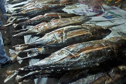 Ikan Asap, Oleh-oleh Nikmat Khas Jayapura