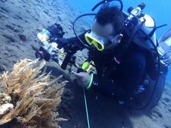 Berburu Objek Foto Bawah Air nan Menawan di Tulamben, Bali