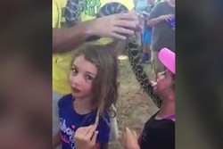 Ya Ampun! Ular Piton Nyangkut di Rambut Turis Cilik di AS