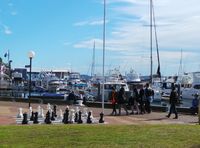 Seperti Ini Bentuk Pelabuhan Nyaman di Port Stephens