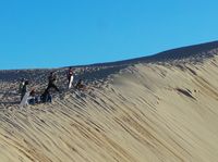 Gurun Pasir di Dubai? Bukan, Ini Australia