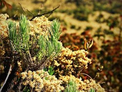 Pesona Gunung Lawu Bikin Pikiran Jadi Tenang!