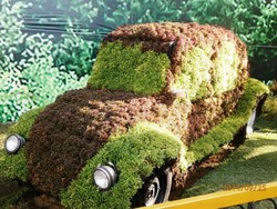 Uniknya Mobil dari Tumbuhan