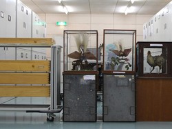 22 Seniman Menelusuri Jejak A.R.Wallace