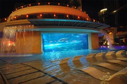 Kolam Renang Keren di Las Vegas, Sebelah Akuarium Hiu!