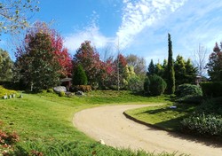 Begini Bentuk Botanical Garden Australia Saat Musim Dingin