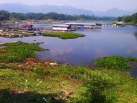 Waduk Saguling Sekarat