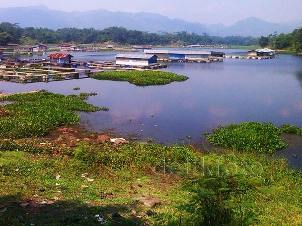 Waduk Saguling Sekarat