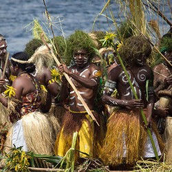 Kelola Alam Papua yang Kaya, Ini Langkah Pemerintah Jokowi