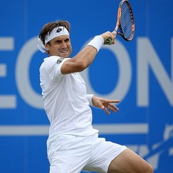 Cedera Siku, Ferrer Mundur dari Wimbledon