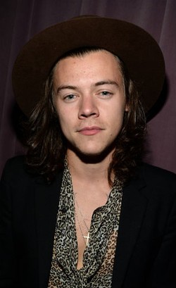 Wanita Ini Bikin Heboh Internet Karena Mirip Harry Styles Pakai Make-up