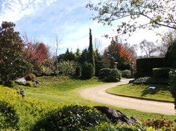 Di Musim Dingin, Taman Botani Australia Tetap Cantik